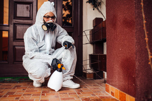 Attic and Crawl Space Rodent Treatment in Wallis